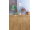 Egger EPL156 Pro Laminate 33 CLASSIC Dub Asgil medový laminátova podlaha 8 mm CLICit