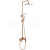 REA Avalon sprchový stĺp s pákovou batériou,hlavová,ručná sprcha brúsená Meď P2418 REA-P24