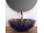 REA Marina Blue keramické okrúhle umývadlo na dosku priemer 42,5 cm lesklé U3300 REA-U3300