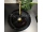 REA Ingrid Black sklenené okrúhle umývadlo na dosku priemer 39,5 cm lesklé U6800