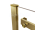 HOPA Belver Gold New sprchové dvere do niky/kútu 100x195cm posuvné dvere,sklo Číre