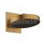 Hansgrohe Rainfinty hlavová sprcha priemer 25 cm s nástenným pripojením 3jet brúsený Bronz