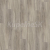 Parador SPC Basic 5.3 Dub pastelovo šedý 1743005 5,3 mm 23/31 4V Kartáčovaná štruktúra 1-l