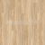 Parador SPC Basic 5.3 Dub Memory pieskový 1743002 5,3 mm 23/31 4V Kartáčovaná štruktúra 1-