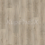 Parador SPC Basic 5.3 Dub šedý bielený 1743001 5,3 mm 23/31 4V Kartáčovaná štruktúra 1-lam