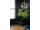 Egibi Podlaha SPC RIGID 4,5/0,2 s podložkou DUB NATURA 1190x180 mm (2,142m2) Green line