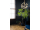Egibi Podlaha SPC RIGID 4,5/0,2 s podložkou DUB HNEDÝ 1190x180 mm (2,142m2) Green line