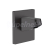 Hansgrohe Pulsify - Sprchové rameno, 8 cm, matná čierna 24139670