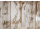 Hansgrohe AddStoris - Polička rohová, kefovaný bronz 41741140