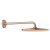 Grohe Rainshower Mono - Hlavová sprcha, priemer 31 cm, kefovaný Warm Sunset 26558DL0